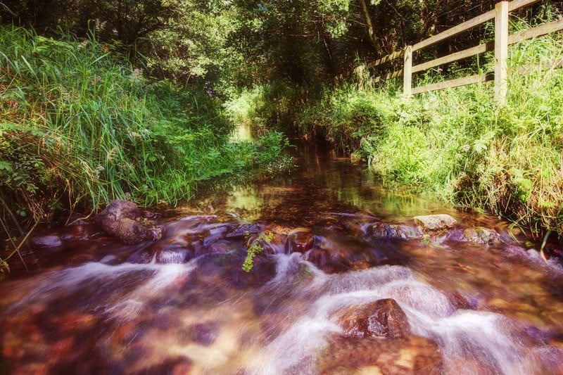 forest-stream-ballyhoura-limerick-ireland